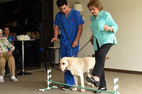 beneficio_fisico_caninoterapia